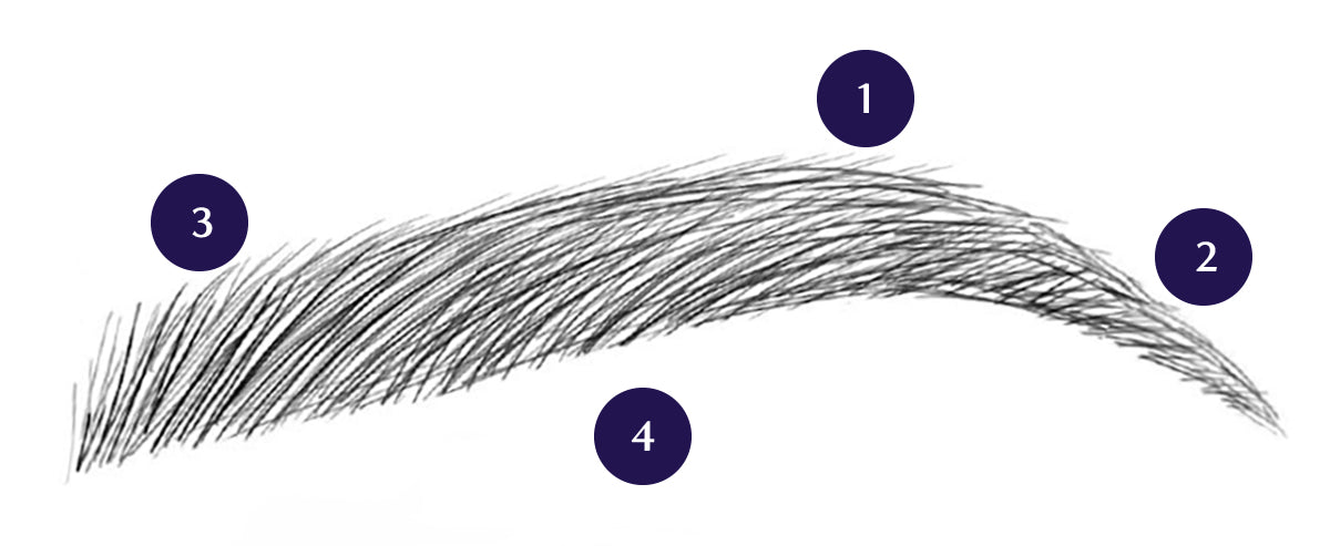 How To Draw An Eyebrow Step By Step